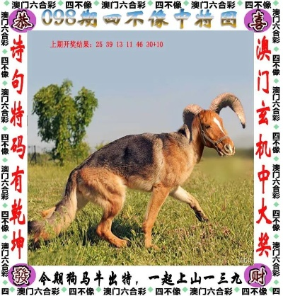 澳门最准的四不像资料|探讨2024年的新方法与趋势_视频集.1.660
