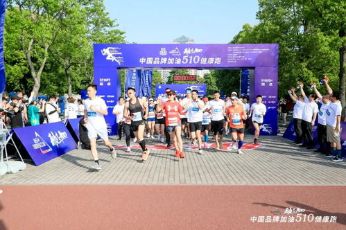 2020全年资料大全正版最快开|独家资源分享助你成长_iShop7.894