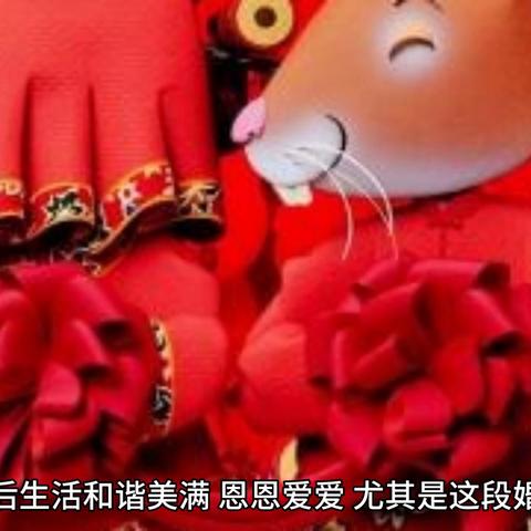 2024年十二生肖表图片|探索未来的科技趋势_潜能款.6.32